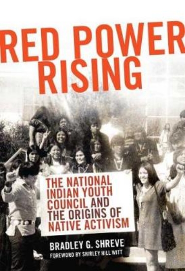 Picture of Red Power Rising