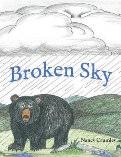 Picture of Broken Sky