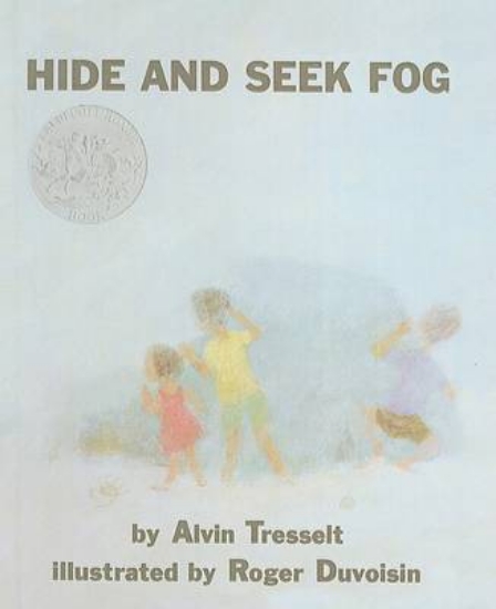 Picture of Hide and Seek Fog