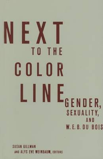 Picture of Next to the Color Line