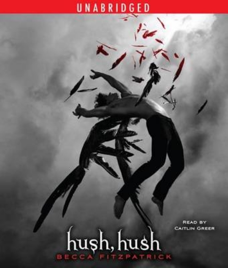 Picture of Hush, Hush