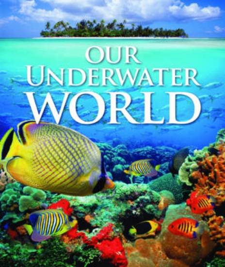 Picture of Underwater World