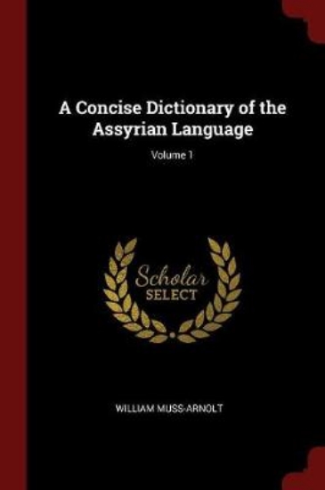 Picture of A Concise Dictionary of the Assyrian Language; Vol