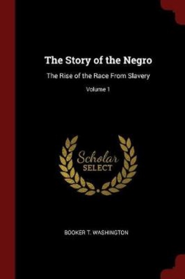 Picture of The Story of the Negro