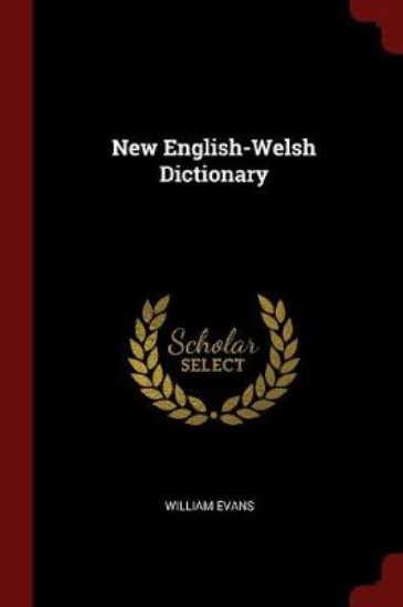 Picture of New English-Welsh Dictionary