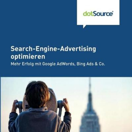 Picture of Search-Engine-Advertising optimieren