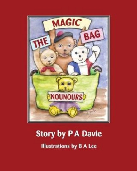 Picture of The Magic Bag Nounours