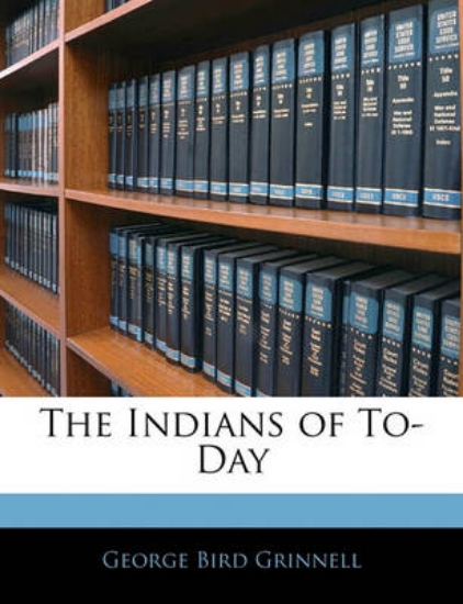 Picture of The Indians of To-Day