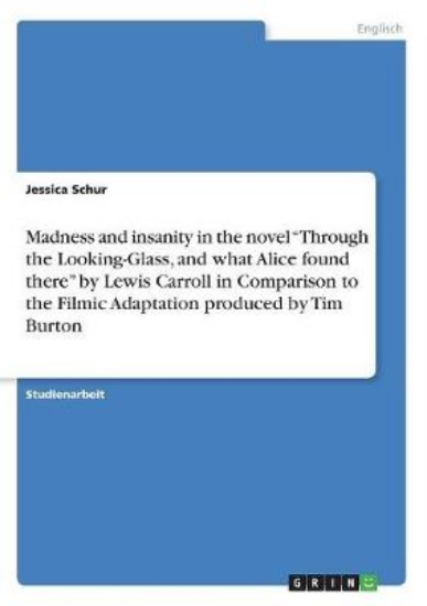 Picture of Madness and insanity in the novel Through the Look