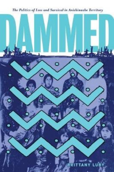 Picture of Dammed