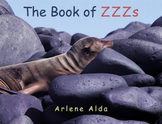 Picture of Book Of Zzzs Bb