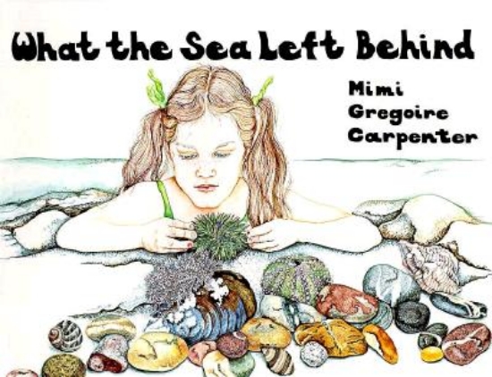 Picture of What the Sea Left Behind