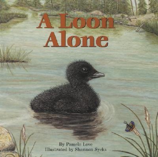 Picture of A Loon Alone