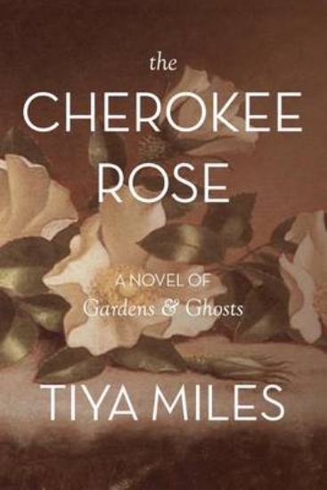 Picture of The Cherokee Rose