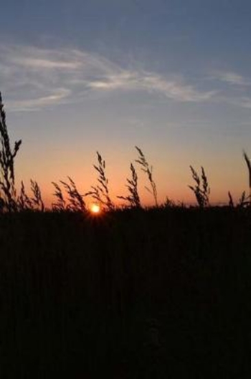 Picture of Sunset Notebook