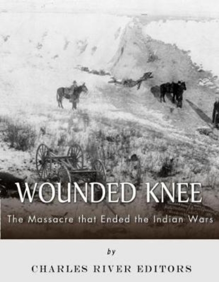 Picture of Wounded Knee