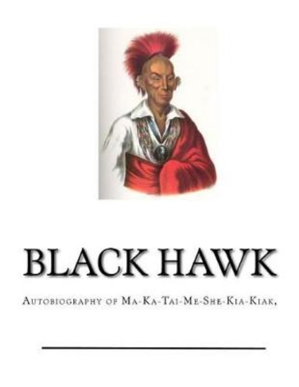 Picture of Black Hawk