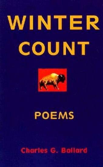 Picture of Winter Count Poems