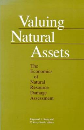 Picture of Valuing Natural Assets