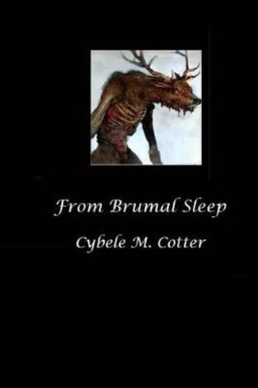 Picture of From Brumal Sleep -- 2nd Edition