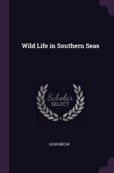 Picture of Wild Life in Southern Seas