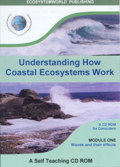 Picture of Understanding How Coastal Ecosystems Work