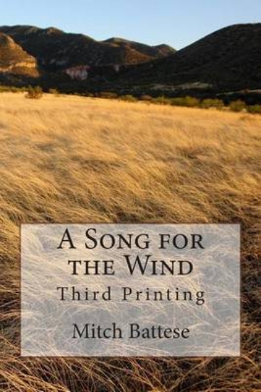 Picture of A Song for the Wind