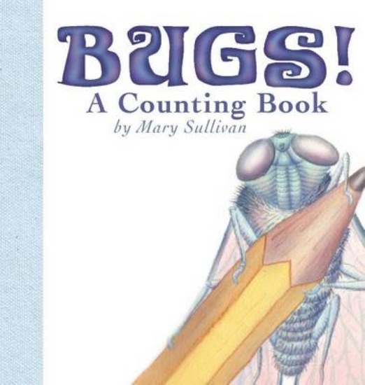 Picture of Bugs! a Counting Book