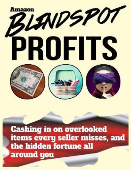 Picture of Blindspot Profits