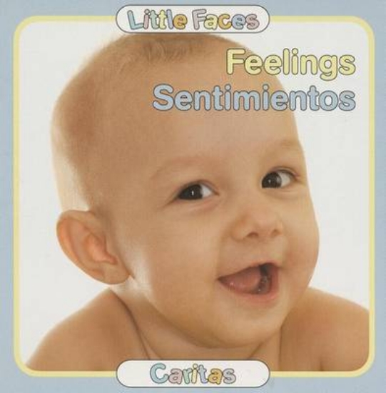 Picture of Feelings/Sentimientos