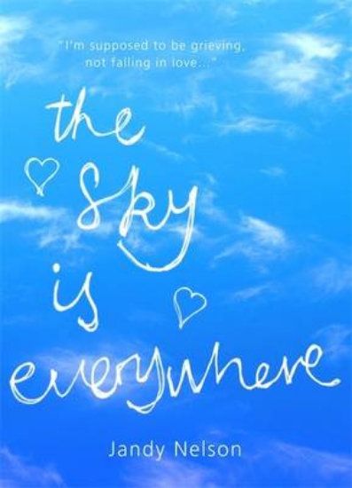 Picture of The Sky is Everywhere