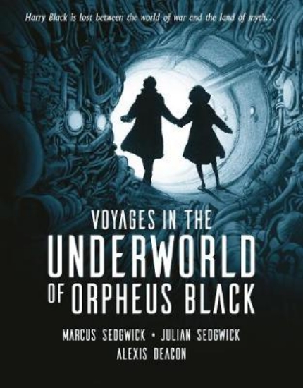 Picture of Voyages In The Underworld Of Orpheus