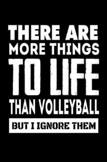 Picture of There Are More Things to Life Than Volleyball But