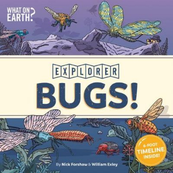 Picture of Bugs!