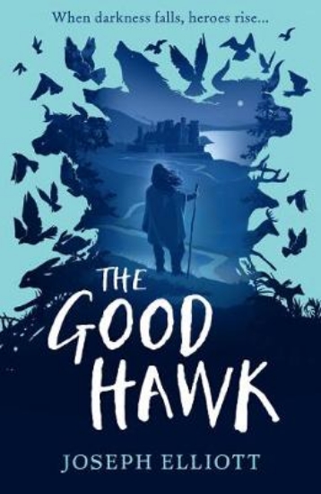 Picture of The Good Hawk (Shadow Skye, Book One)