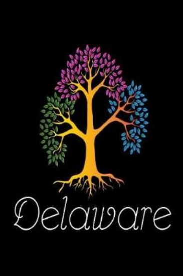 Picture of Delaware