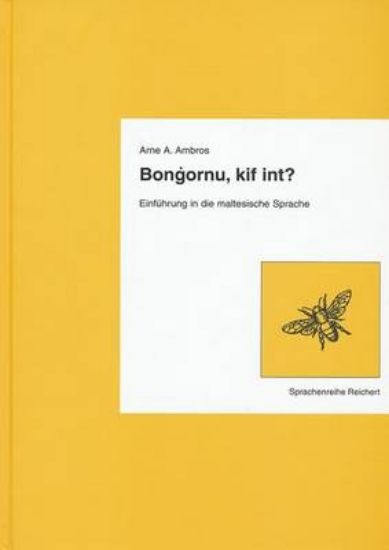 Picture of Bongornu, Kif Int?