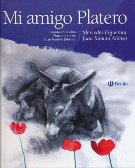 Picture of Mi Amigo Platero