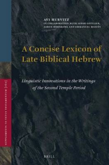 Picture of A Concise Lexicon of Late Biblical Hebrew