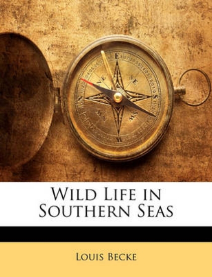 Picture of Wild Life in Southern Seas