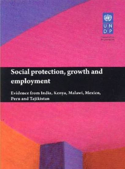 Picture of Social protection, growth and employment