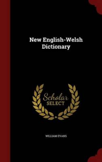 Picture of New English-Welsh Dictionary