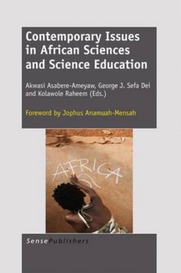 Picture of Contemporary Issues in African Sciences and Scienc