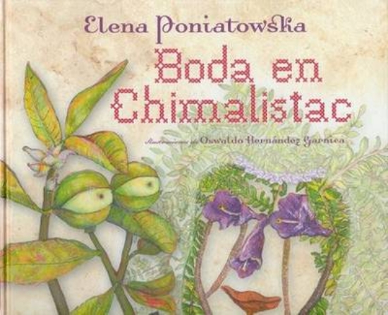 Picture of Boda en Chimalistac