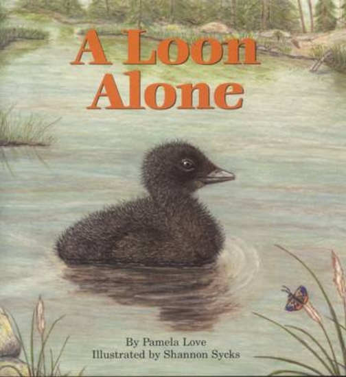 Picture of A Loon Alone