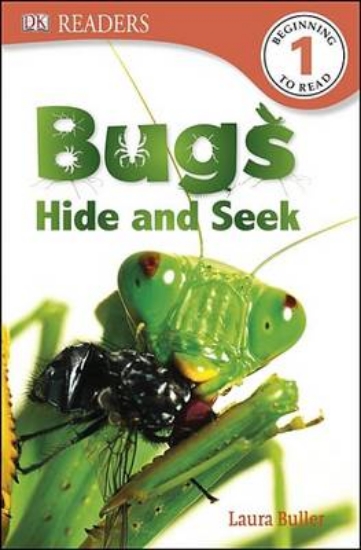 Picture of Bugs Hide and Seek