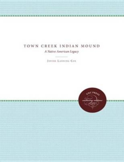 Picture of Town Creek Indian Mound