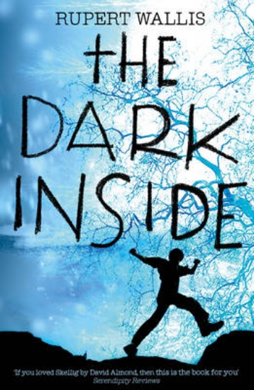 Picture of The Dark Inside