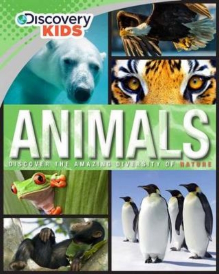 Picture of Discovery Kids Animals