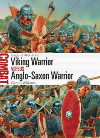 Picture of Viking Warrior vs Anglo-Saxon Warrior